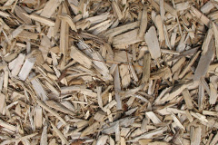 biomass boilers Muirshearlich